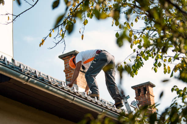 Best Storm Damage Roof Repair  in North Wilkesboro, NC